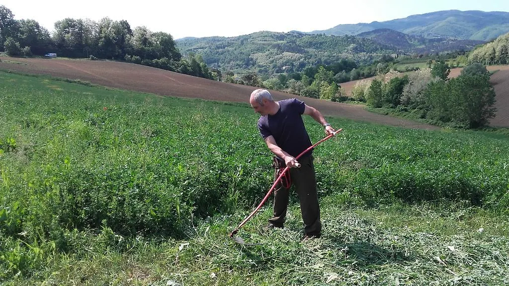 Farm stay Agriturismo Stazione Di Monta Villa Vicchio Italy